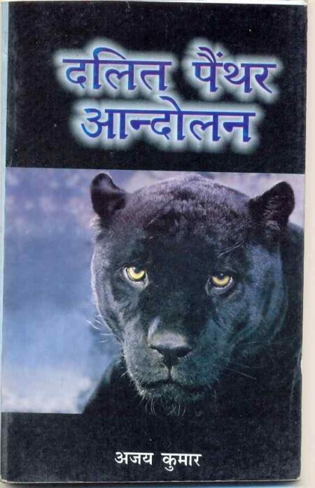 Dalit Panther Andolan