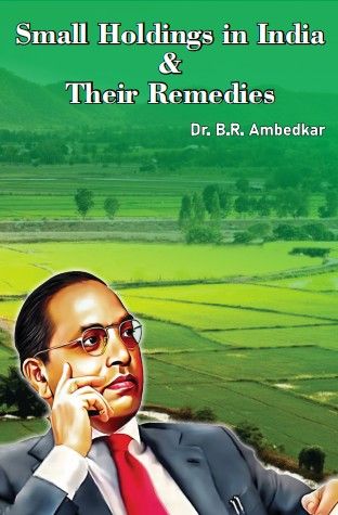 Small Holdings in India and their Remedies